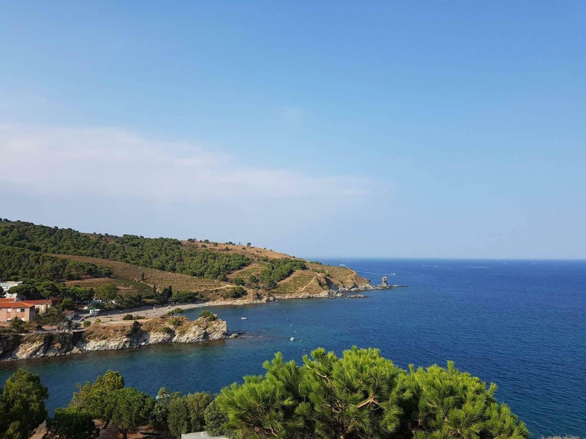 Profitez De La Vue ! Apartment Banyuls-sur-Mer Luaran gambar